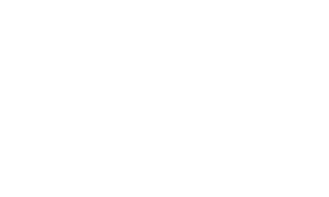 CamilConcep